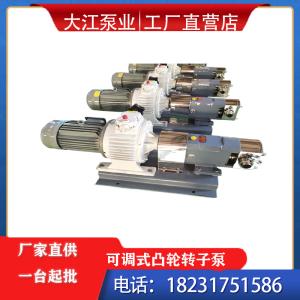 3-2RP不銹鋼凸輪轉子泵